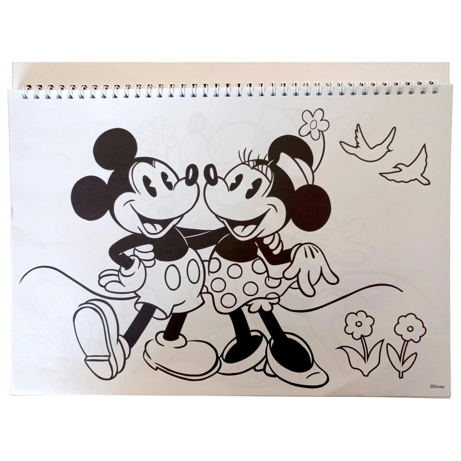 Disney Minnie Nomadic Spirit A/4 Spiralny Szkicownik z 40 Naklejkami zdjęcie produktu