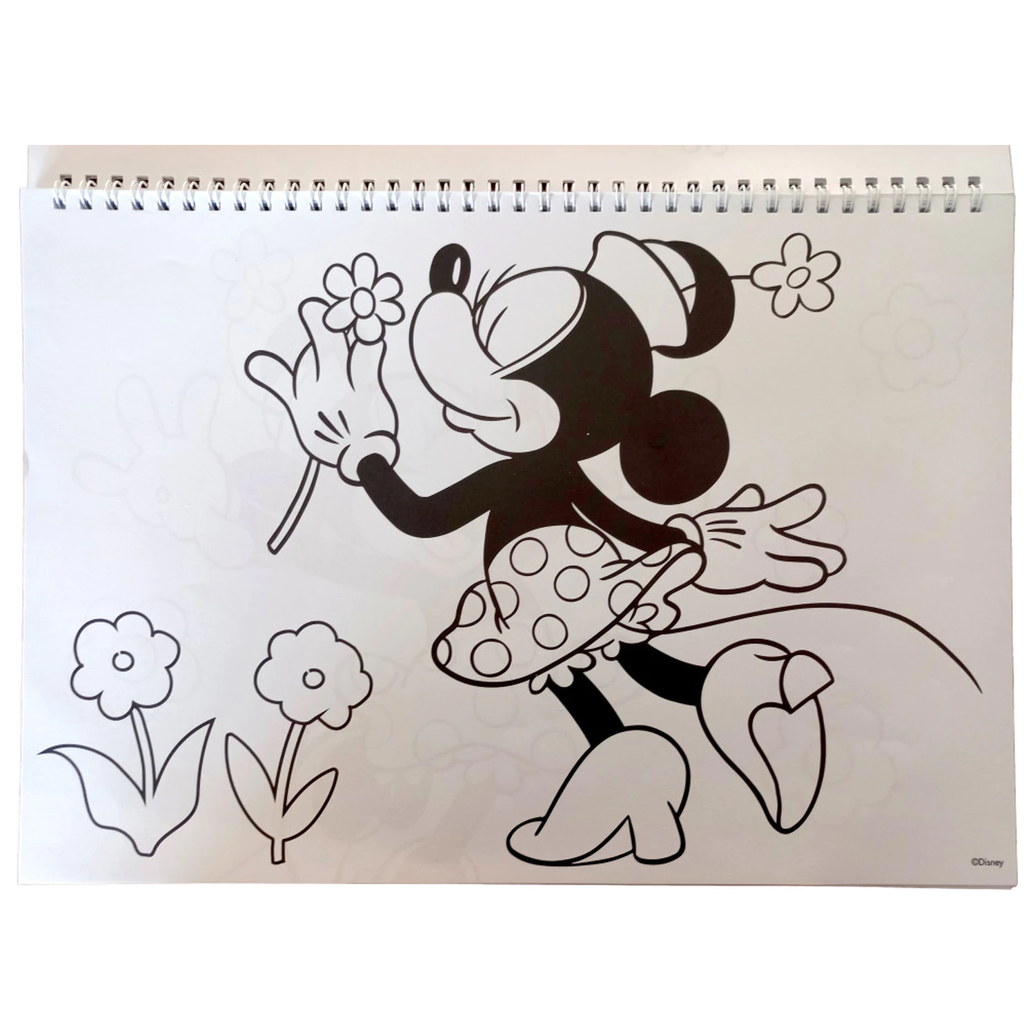 Disney Minnie Nomadic Spirit A/4 Spiralny Szkicownik z 40 Naklejkami zdjęcie produktu