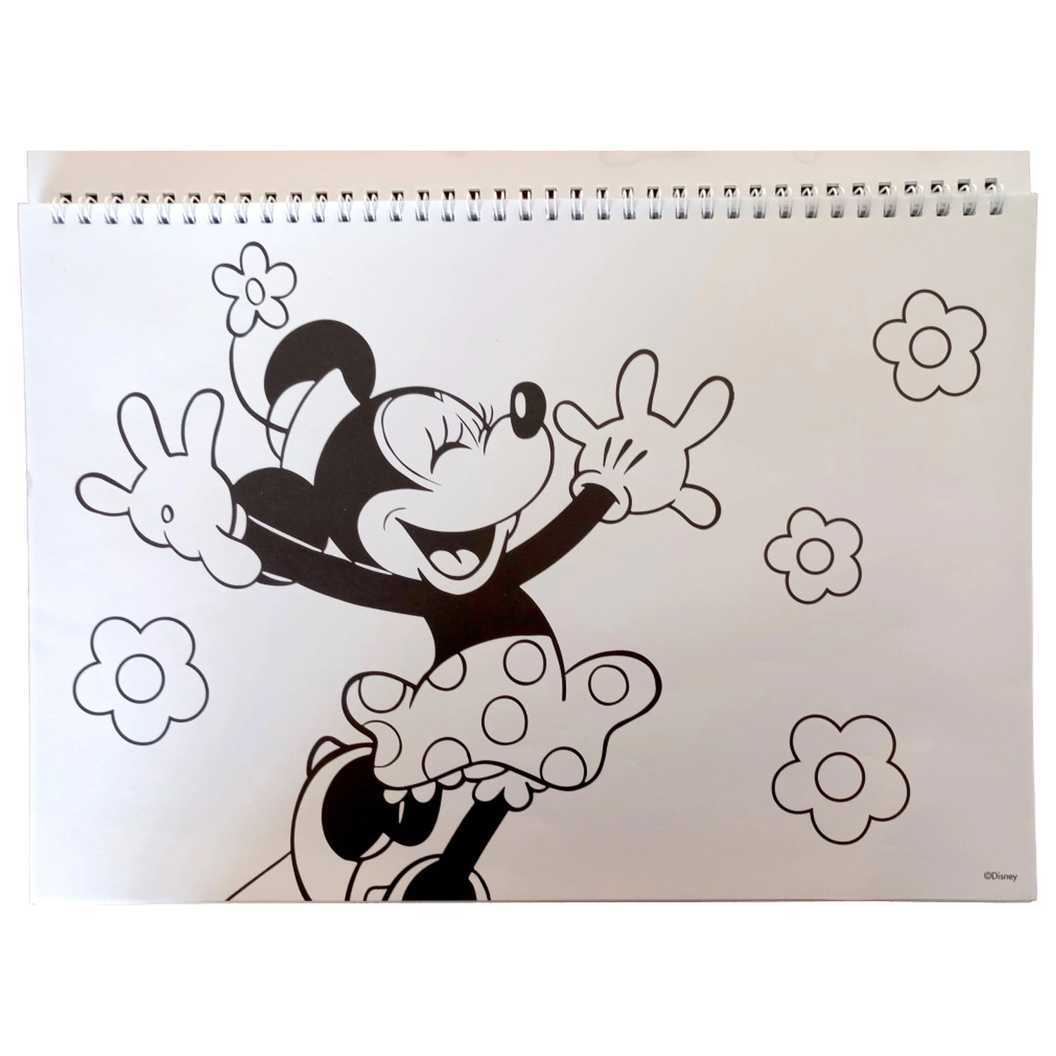 Disney Minnie Nomadic Spirit A/4 Spiralny Szkicownik z 40 Naklejkami zdjęcie produktu