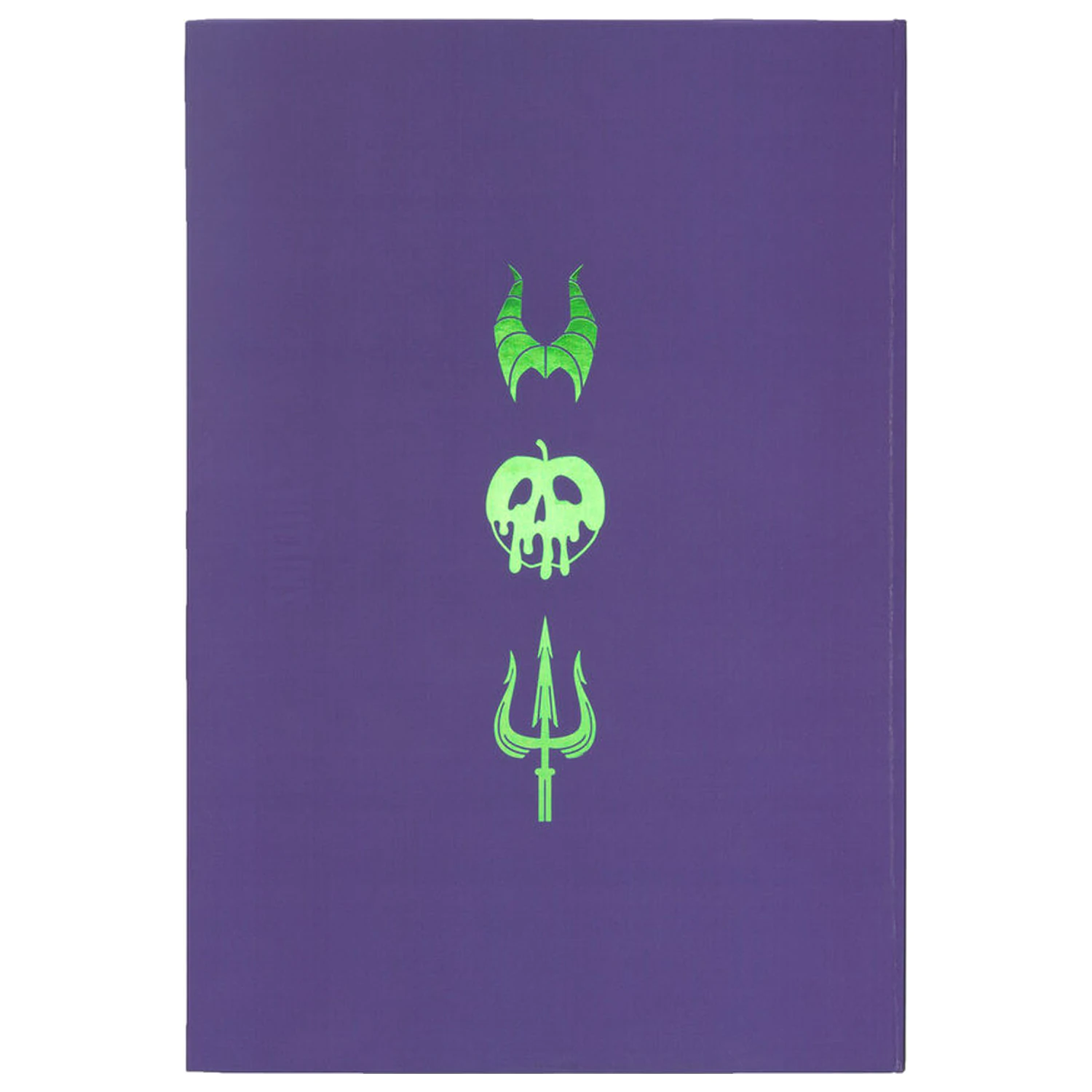 Notes soczewkowy A5 Disney Złoczyńcy zdjęcie produktu