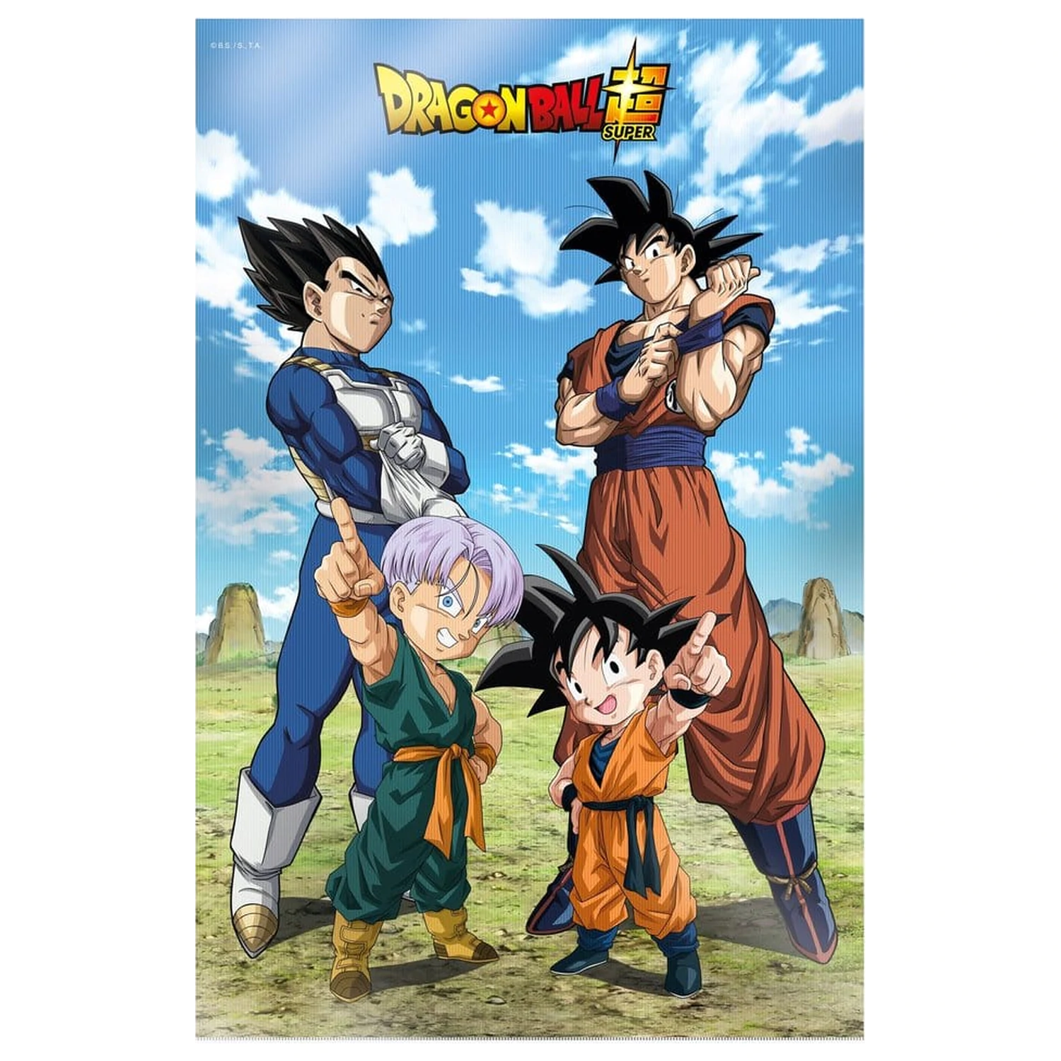 Dragon Ball Super Plakat 3D Battle of Gods Goku Vegeta Family 38 x 58 cm zdjęcie produktu