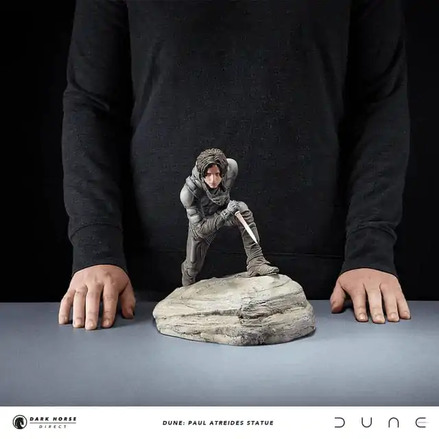 Statua Dune Paul Atreides 22 cm zdjęcie produktu