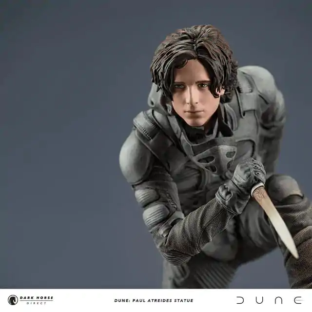 Statua Dune Paul Atreides 22 cm zdjęcie produktu