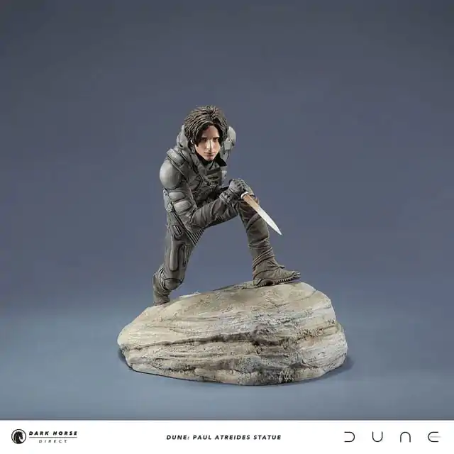 Statua Dune Paul Atreides 22 cm zdjęcie produktu