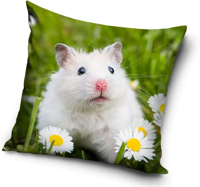 Poszewka na poduszkę Mouse 40x40 cm zdjęcie produktu