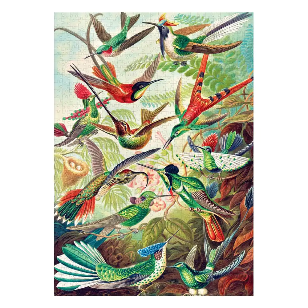 Puzzle Ernst Haeckel Imagination Hummingbirds/Kolibry (1000 elementów) zdjęcie produktu