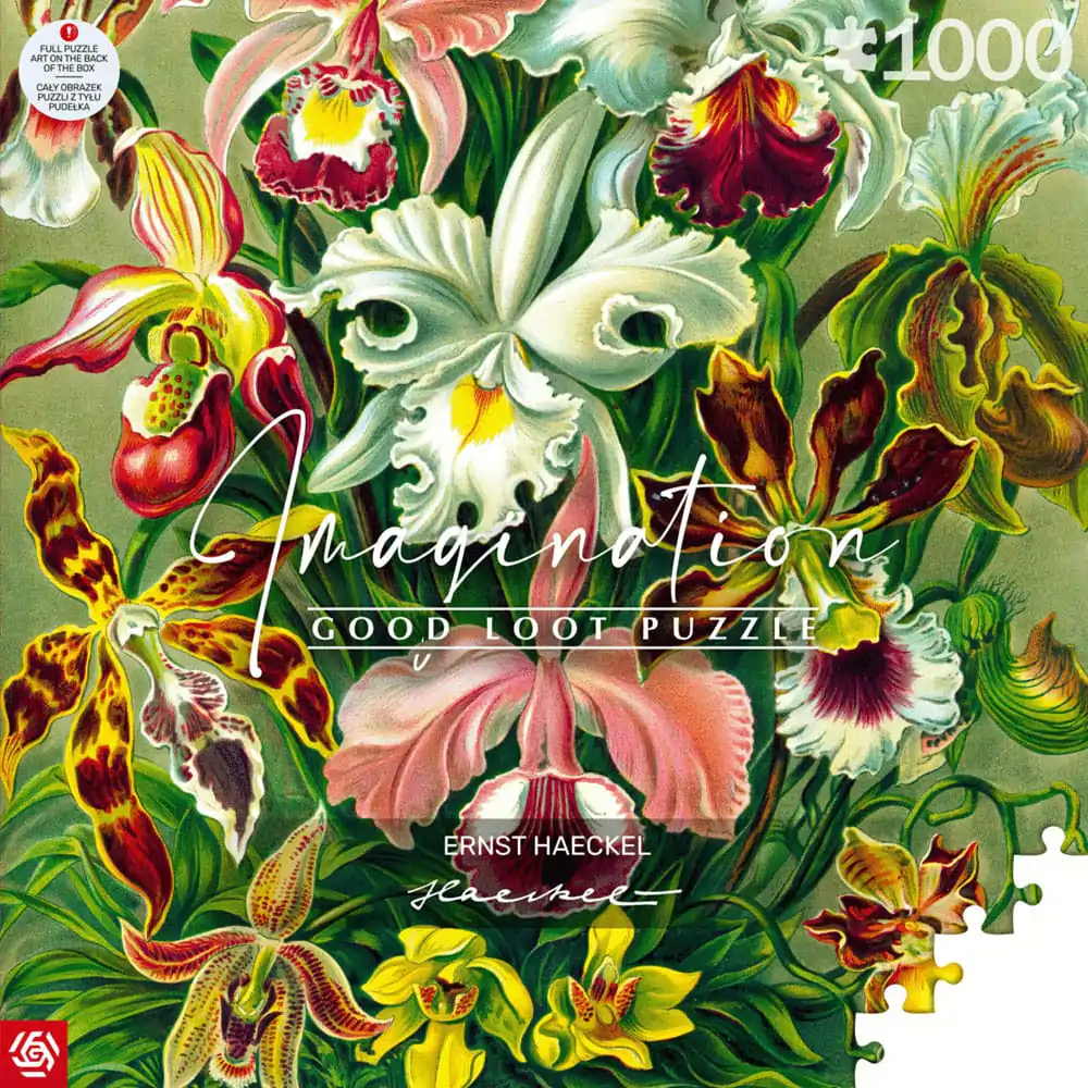 Puzzle Ernst Haeckel Orchidea (1000 elementów) zdjęcie produktu