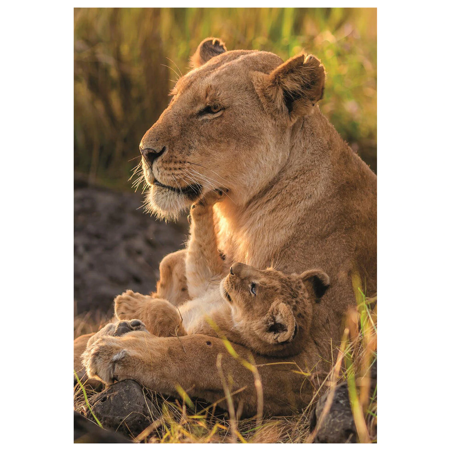Puzzle Feline Love 500 elementów zdjęcie produktu