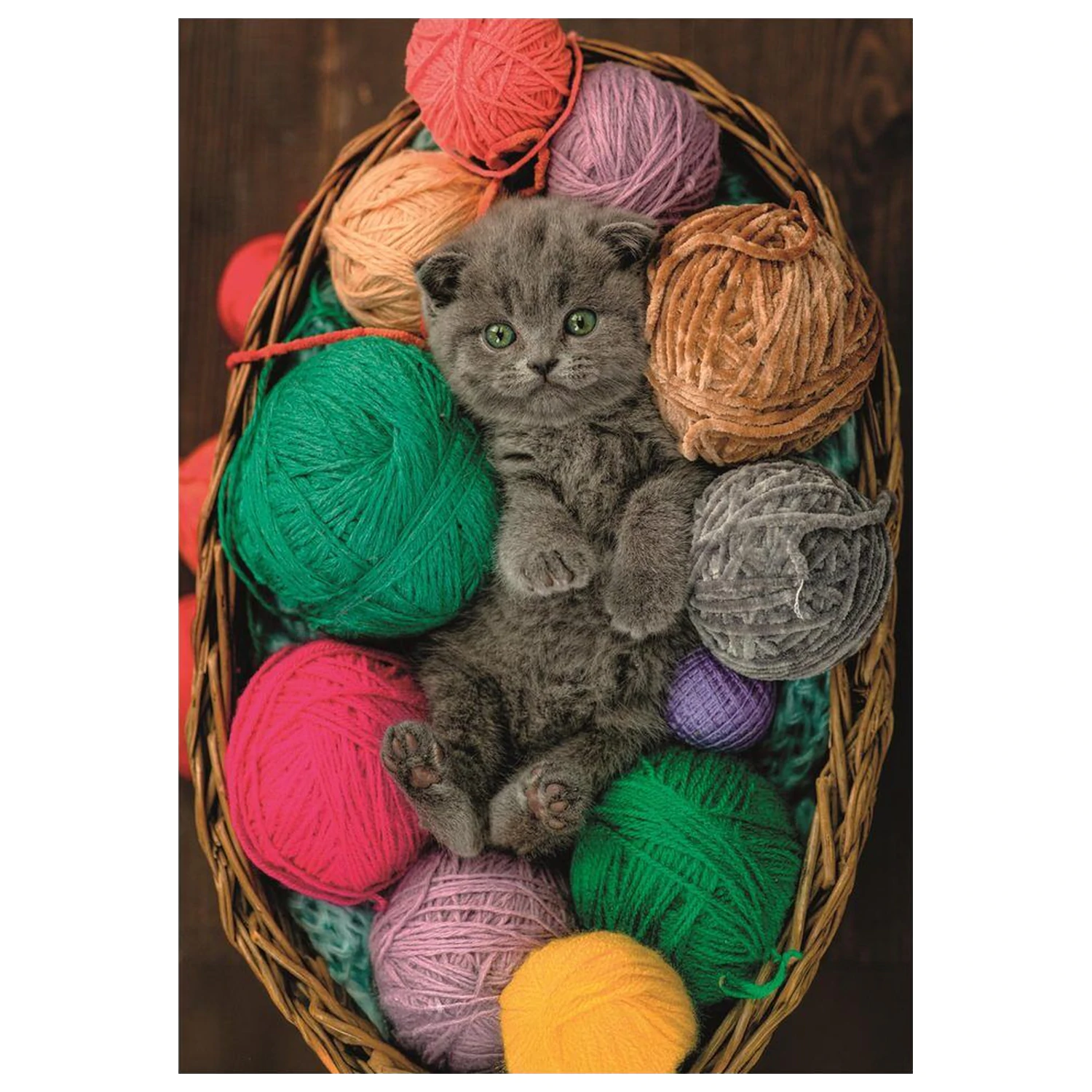 Fluffy Kitten puzzle 500 sztuk zdjęcie produktu