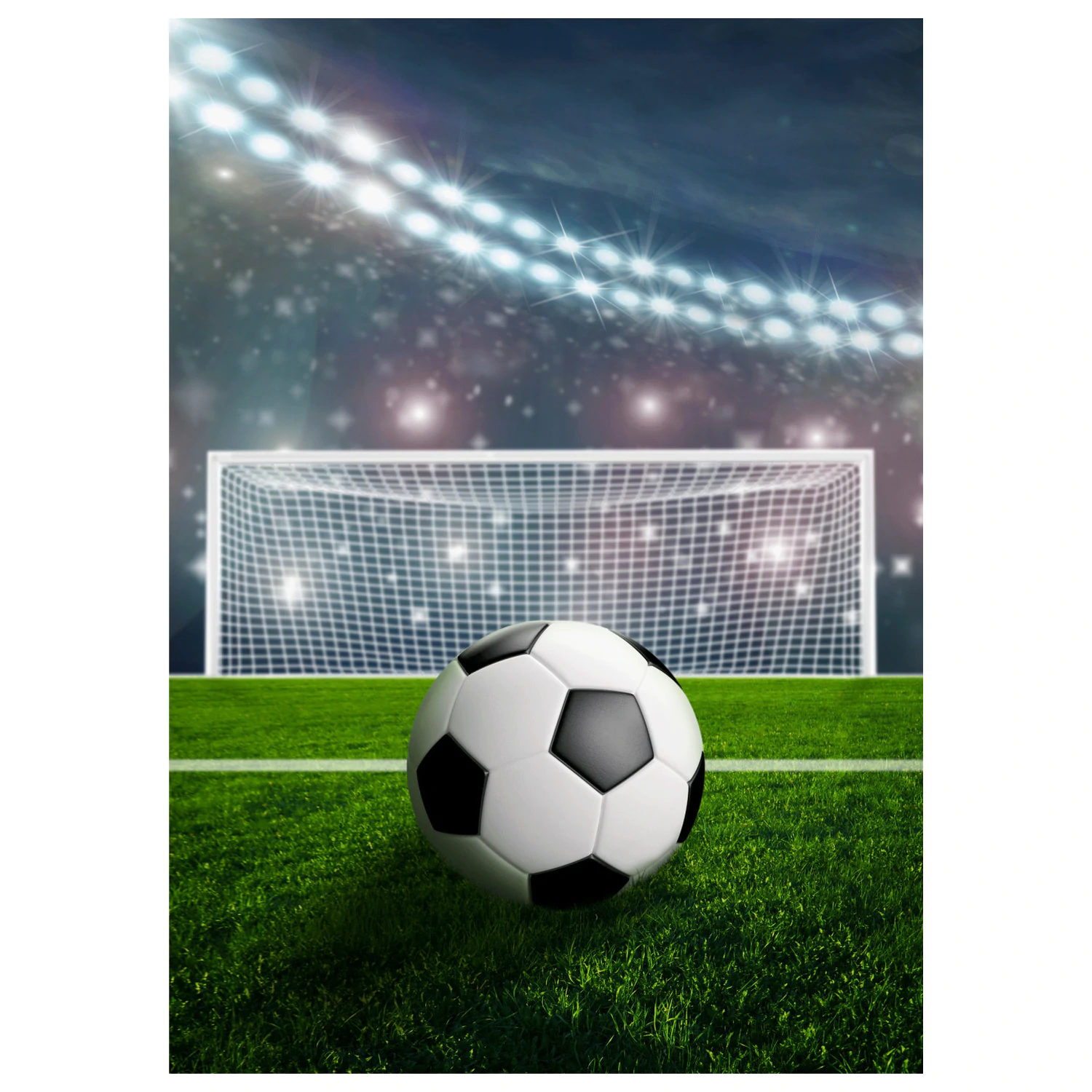 Koc polarowy stadion piłkarski zdjęcie produktu