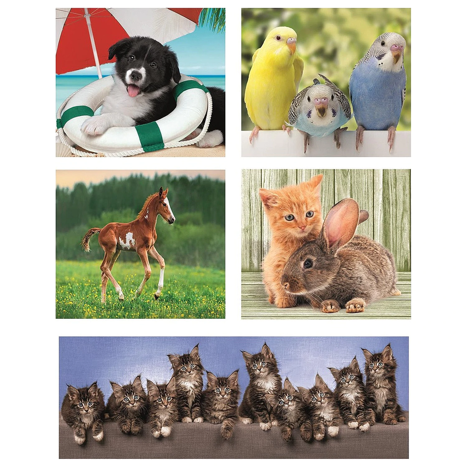 Friends 10-w-1 Puzzle Clementoni zdjęcie produktu