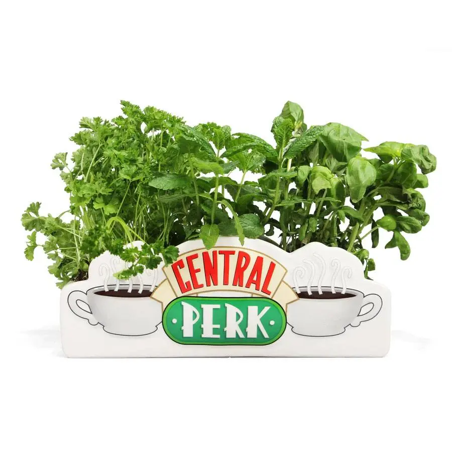 Wazon stołowy Friends Central Perk zdjęcie produktu