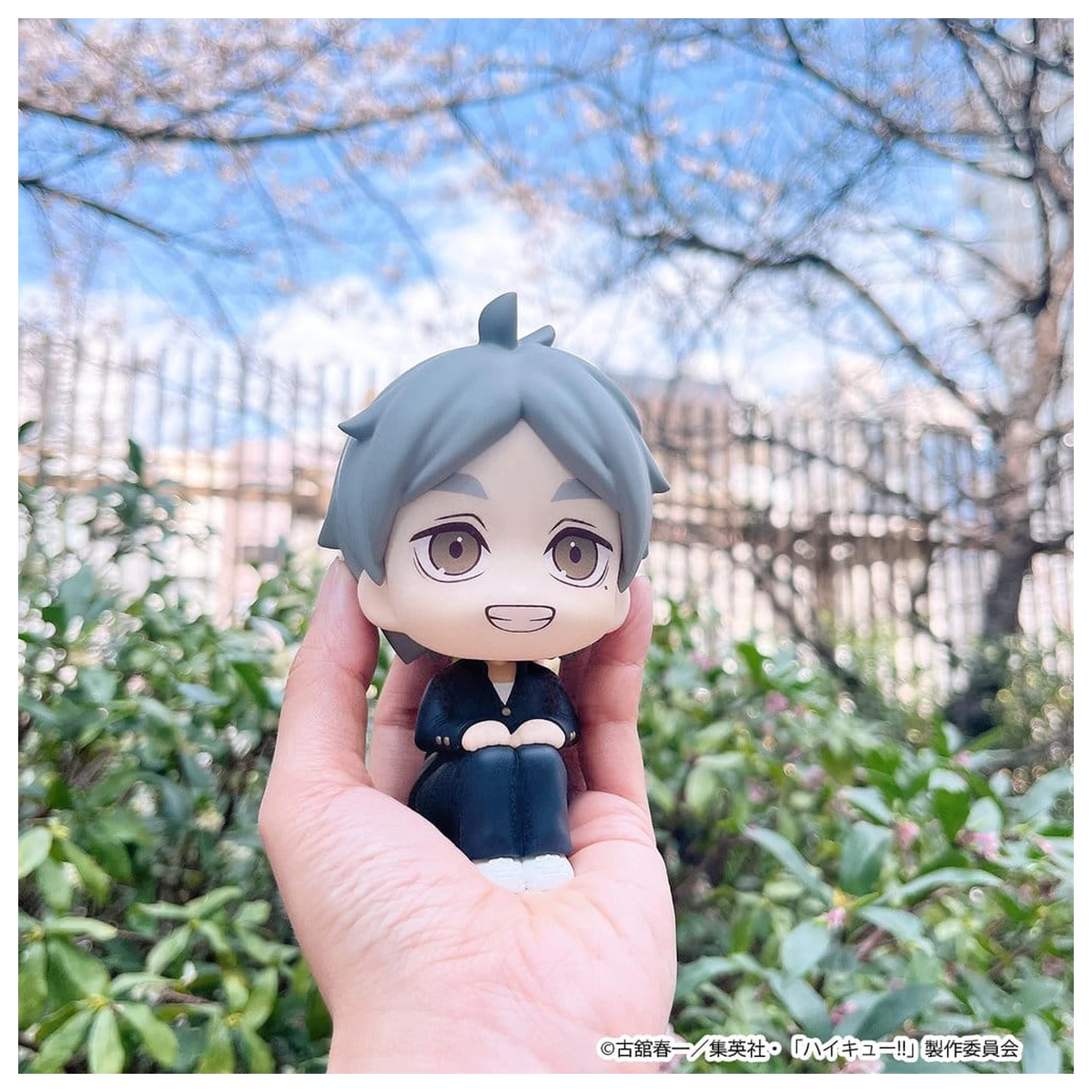 Haikyu!! Look Up PVC Figurki Zestaw 2 sztuk Daichi Sawamura i Koushi Sugawara 11 cm (z prezentem) zdjęcie produktu