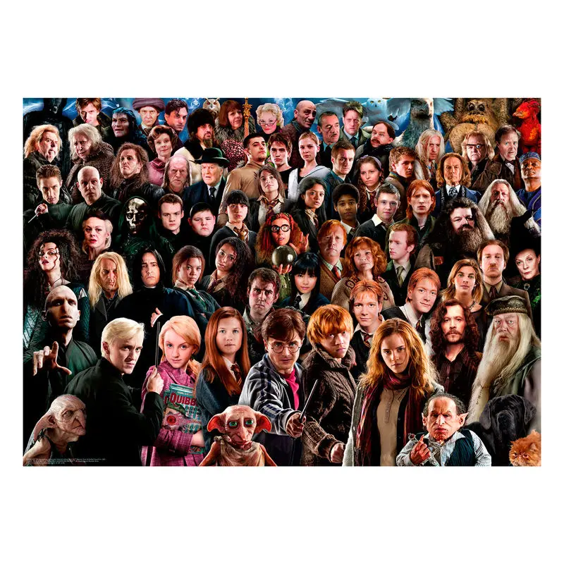 Harry Potter Challenge Puzzle Cast (1000 elementów) zdjęcie produktu