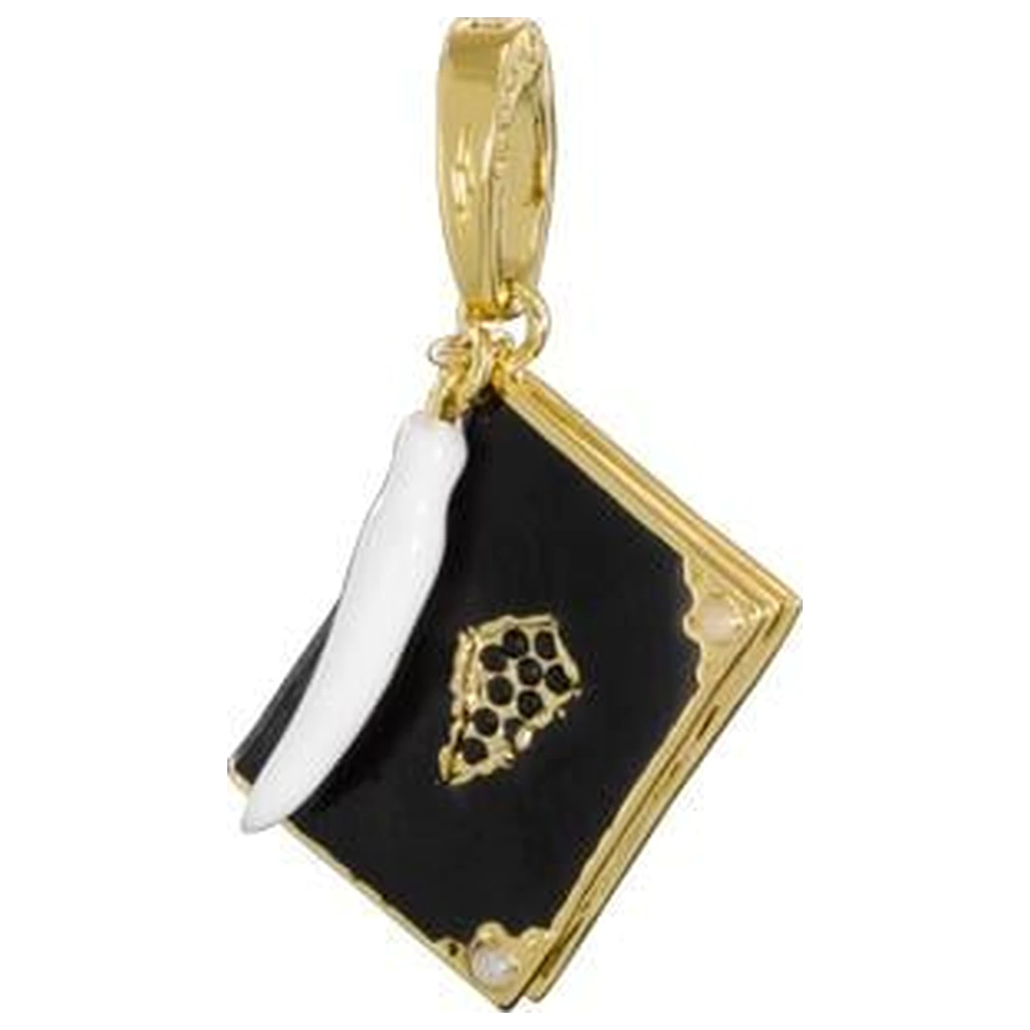 Zawieszka Harry Potter Lumos 11 Tom Riddle's Diary zdjęcie produktu