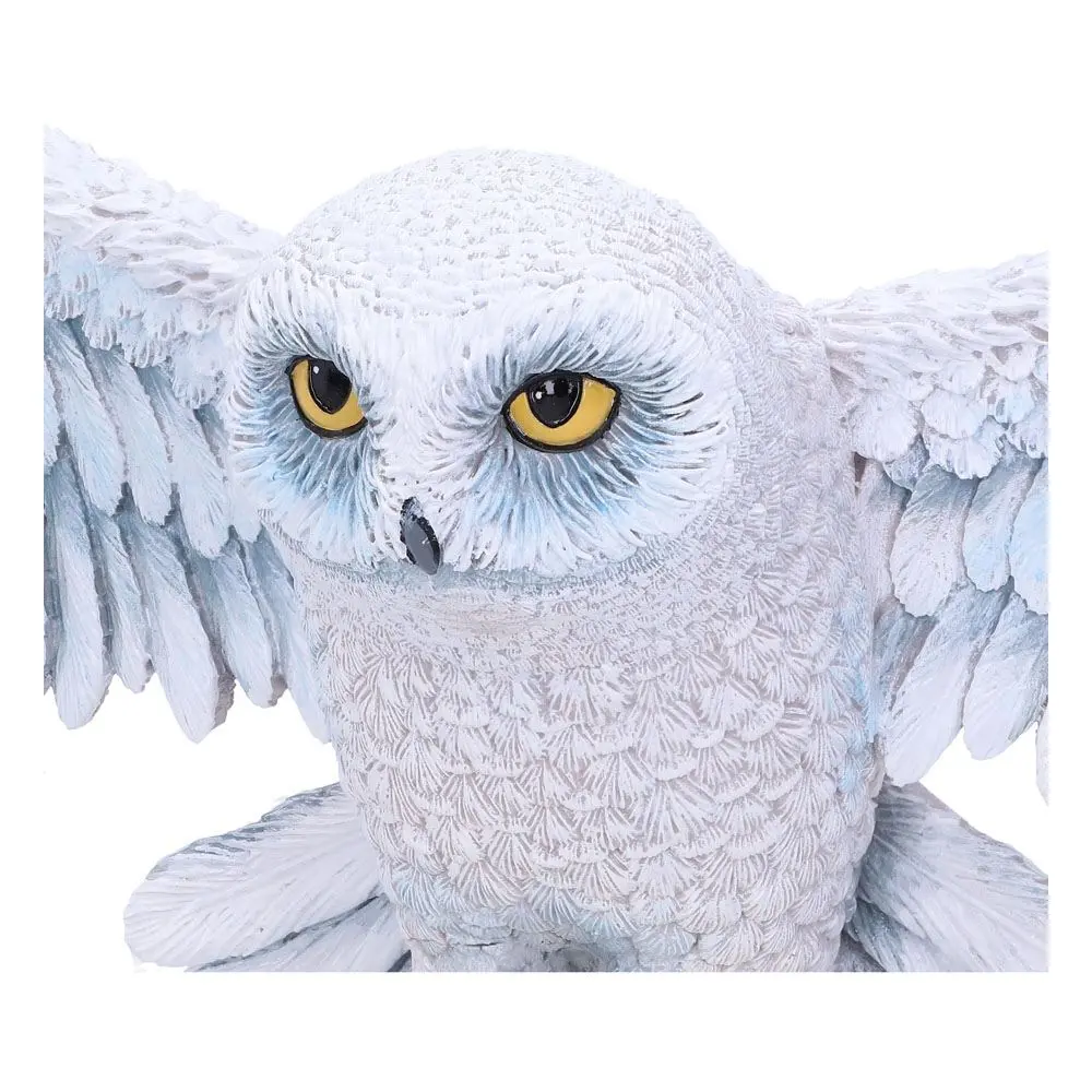Płaskorzeźba ścienna Harry Potter Hedwig 45 cm zdjęcie produktu