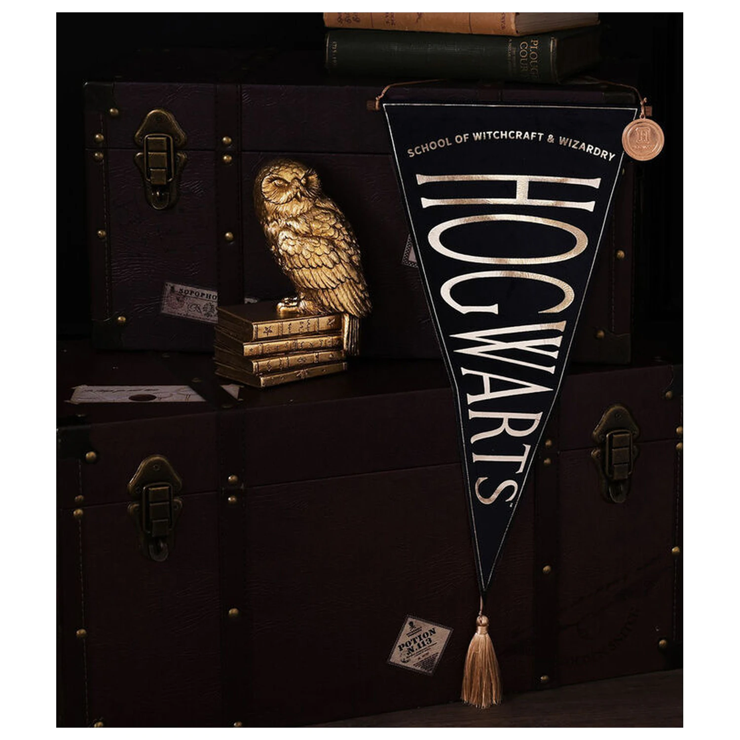 Harry Potter Hogwarts wiszący baner zdjęcie produktu