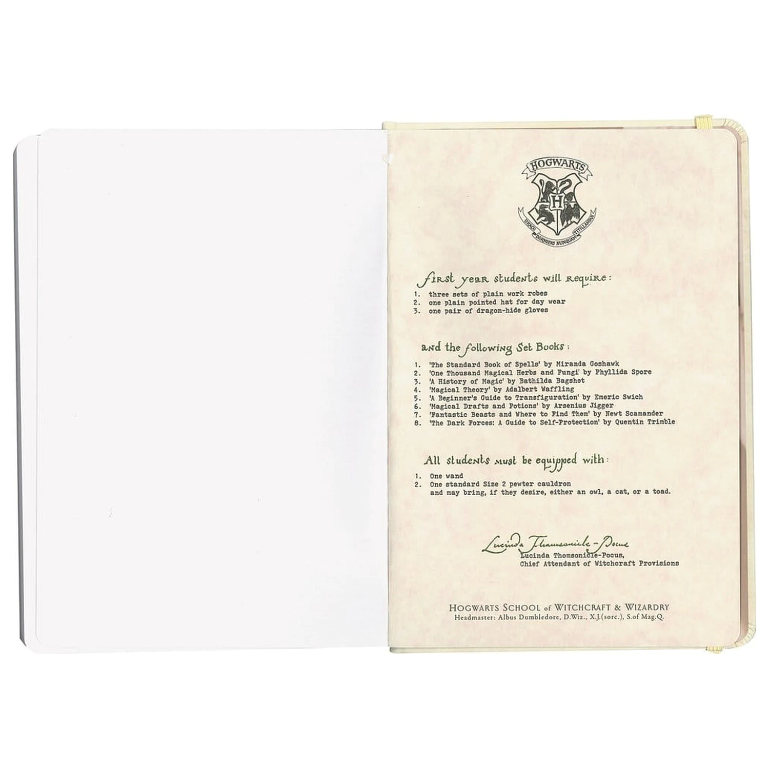 Harry Potter Notatnik w twardej oprawie Hogwarts Letter 21 cm zdjęcie produktu