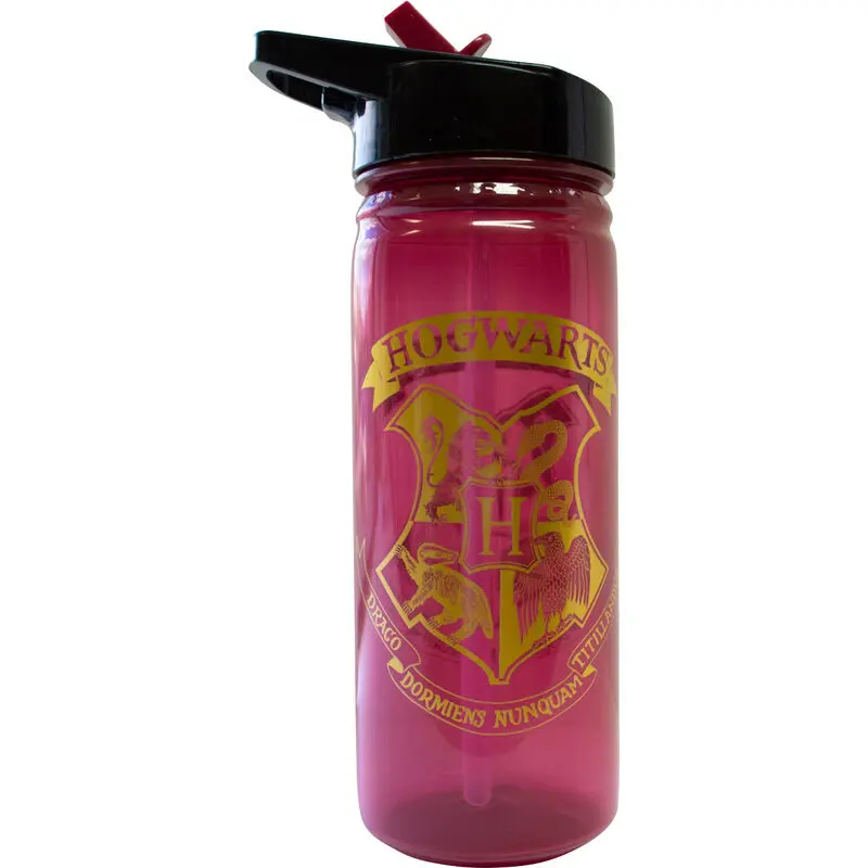 Butelka Harry Potter Hogwarts 600ml zdjęcie produktu