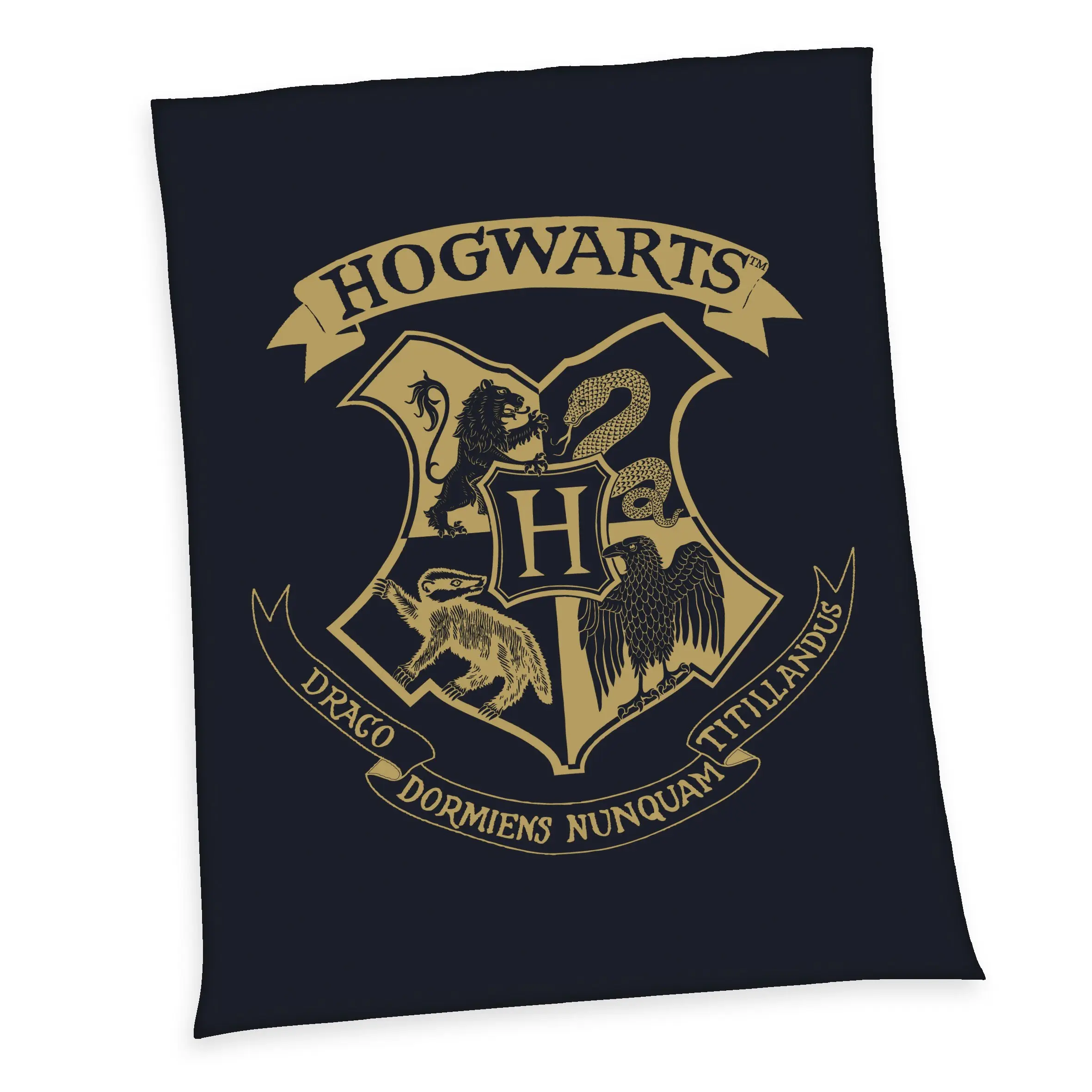 Harry Potter Koc polarowy Hogwarts 150 x 200 cm zdjęcie produktu