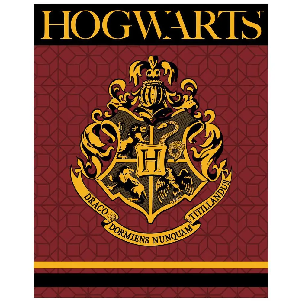 Harry Potter Hogwarts premium koralowy koc zdjęcie produktu