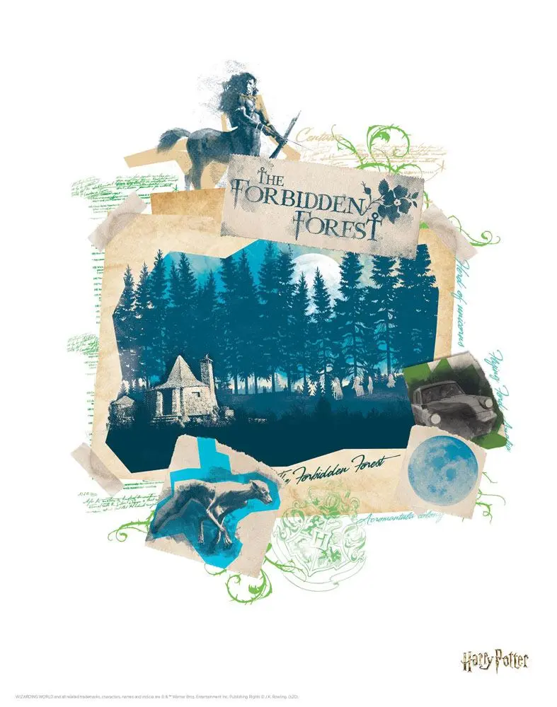 Harry Potter Litografia Zestaw 10 sztuk 36 x 28 cm zdjęcie produktu