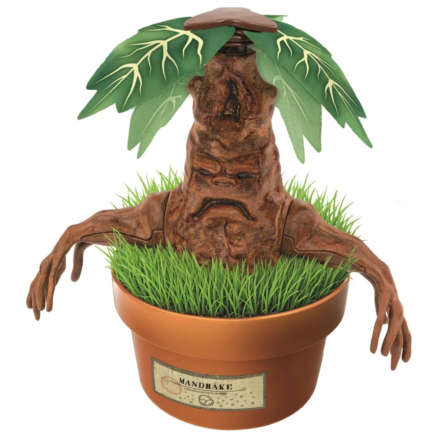 Harry Potter Zestaw do modelowania Mandragory zdjęcie produktu