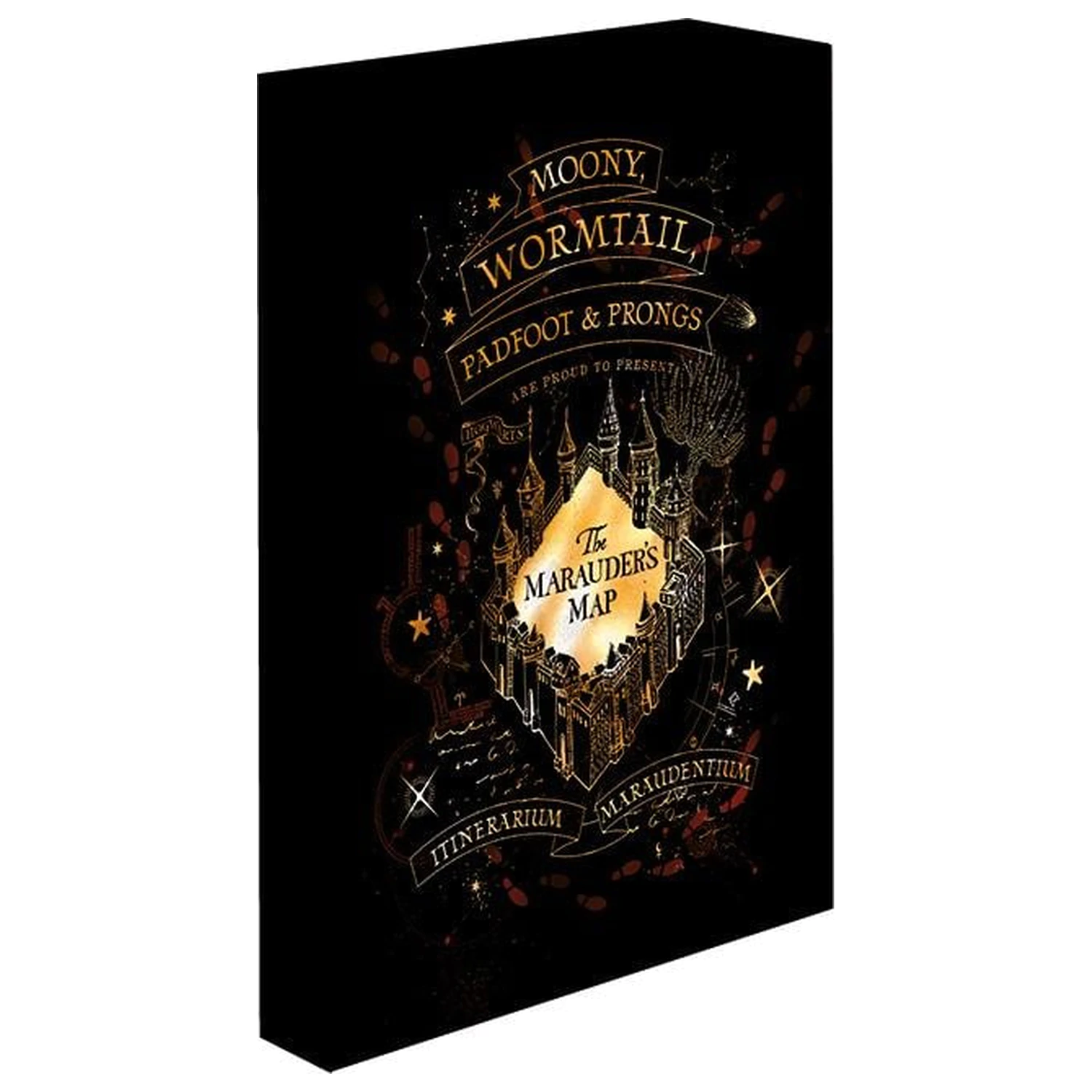Harry Potter Mapa Huncwotów Light Płótno 40X30 cm zdjęcie produktu