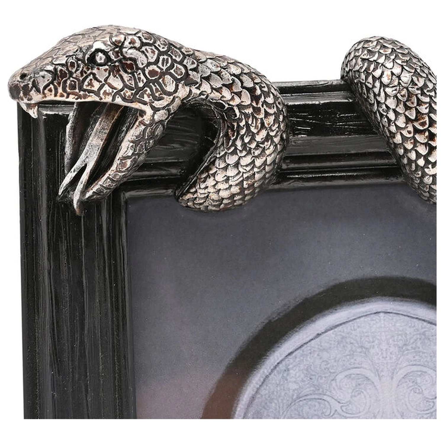 Harry Potter Nagini ramka na zdjęcia zdjęcie produktu