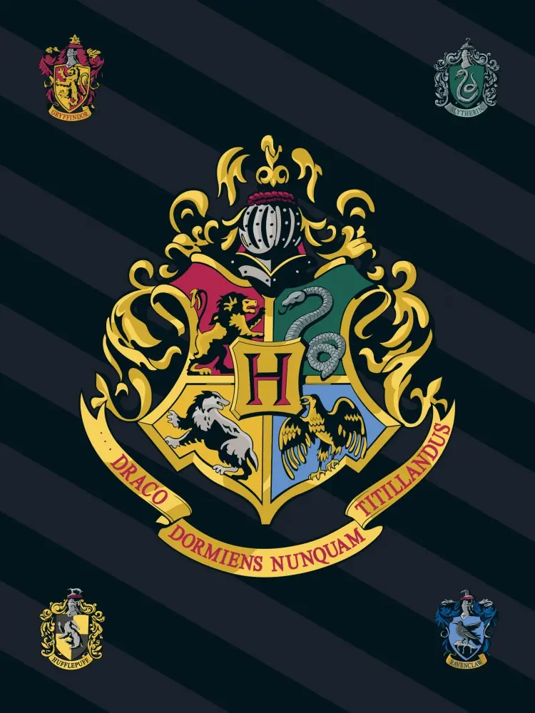 Harry Potter polarowy koc 100*140cm zdjęcie produktu