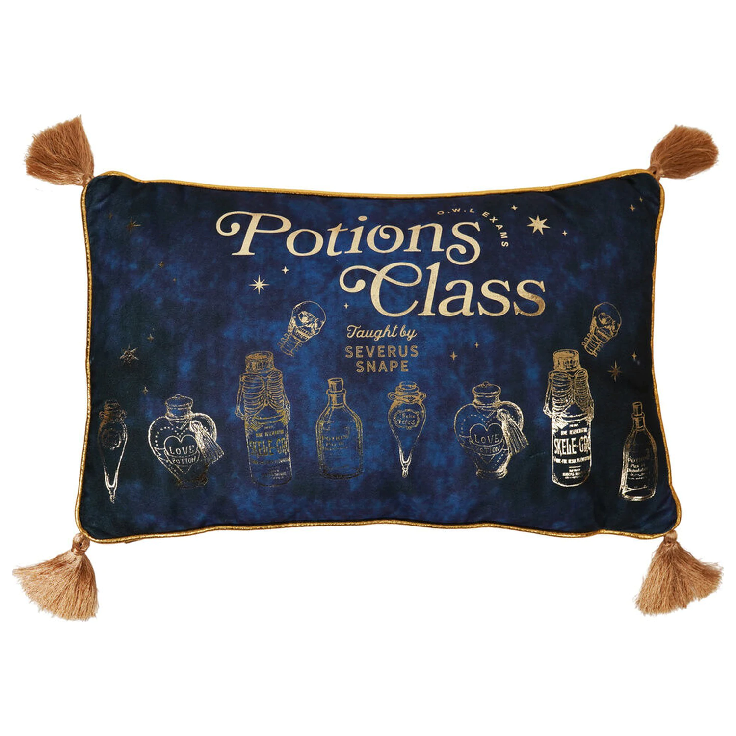 Harry Potter Potions Class aksamitna poduszka zdjęcie produktu