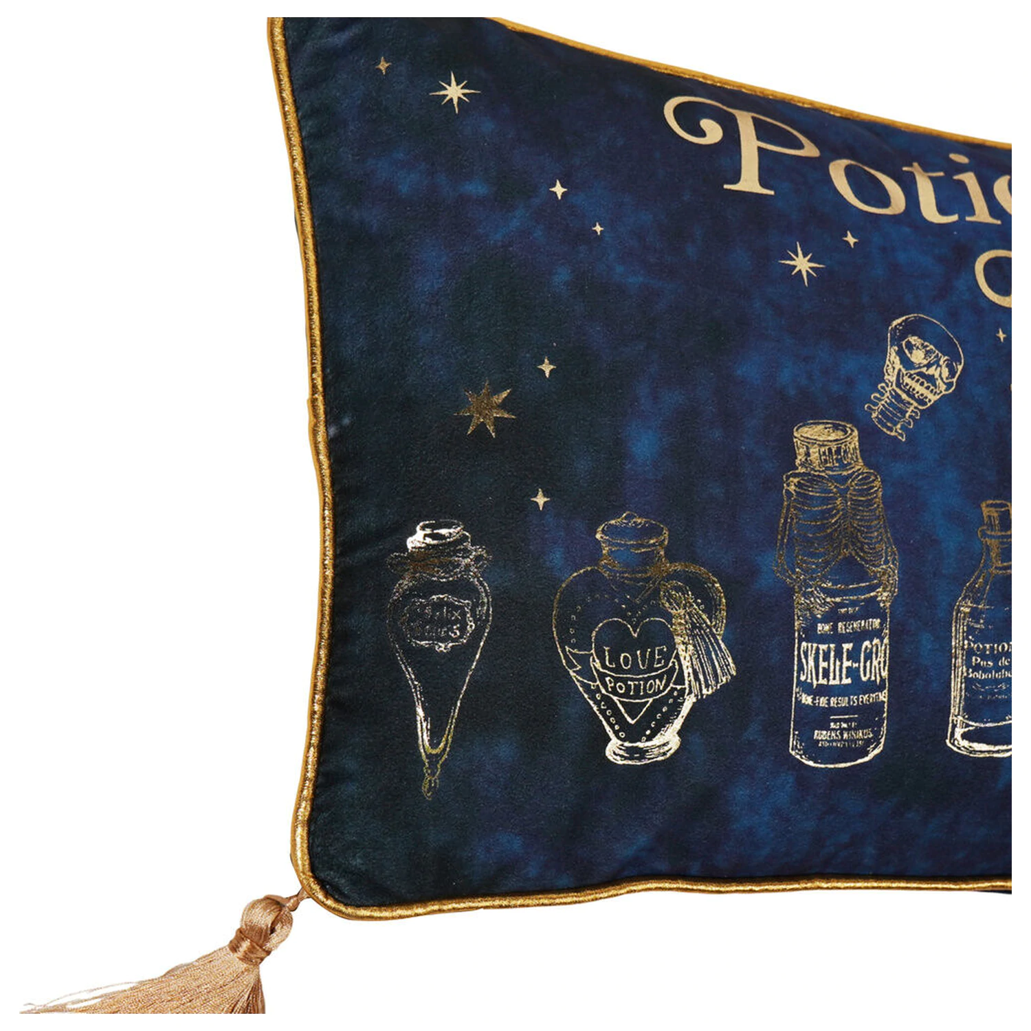Harry Potter Potions Class aksamitna poduszka zdjęcie produktu