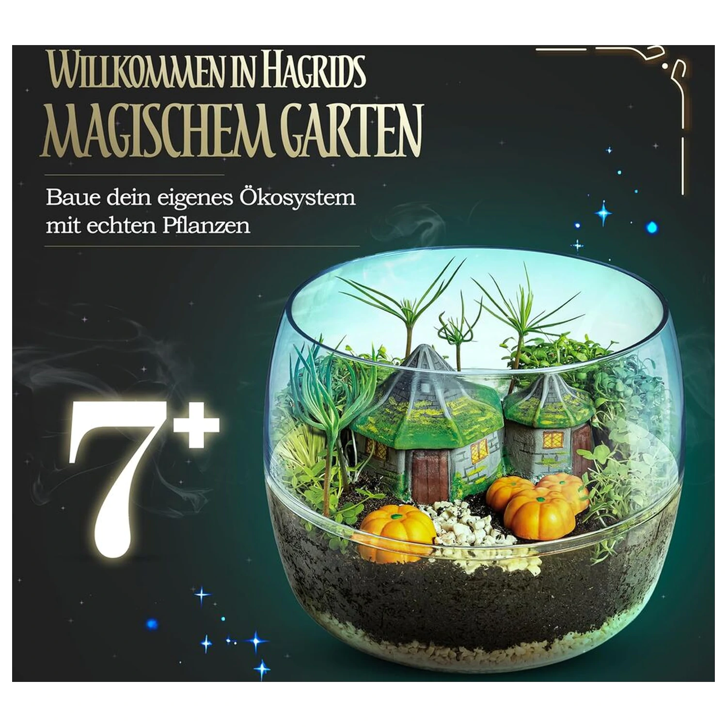 Harry Potter Terrarium zdjęcie produktu