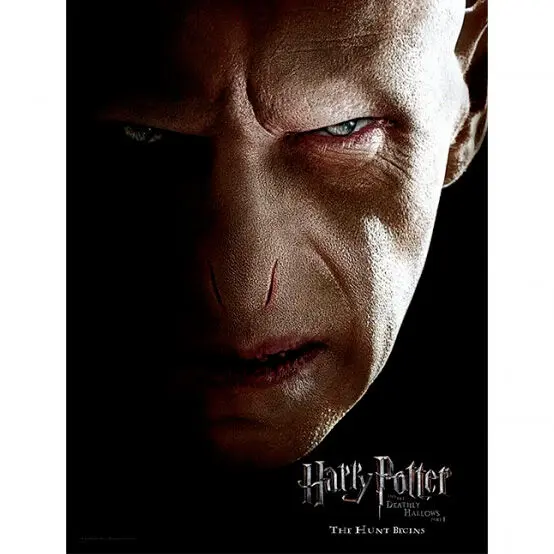 Harry Potter Voldemort Face szklany poster zdjęcie produktu