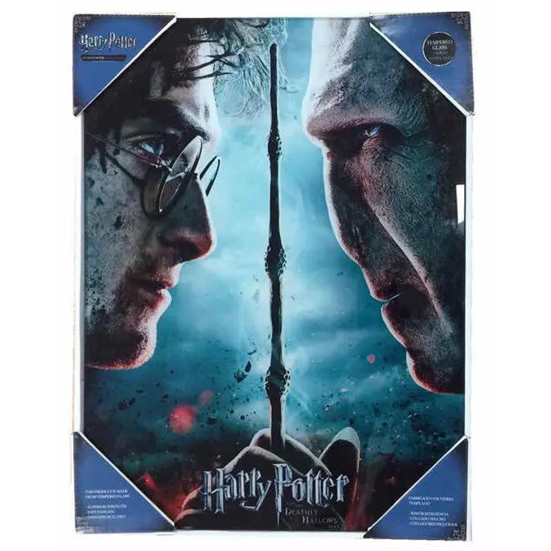 Plakat szklany Harry Potter vs Voldemort zdjęcie produktu