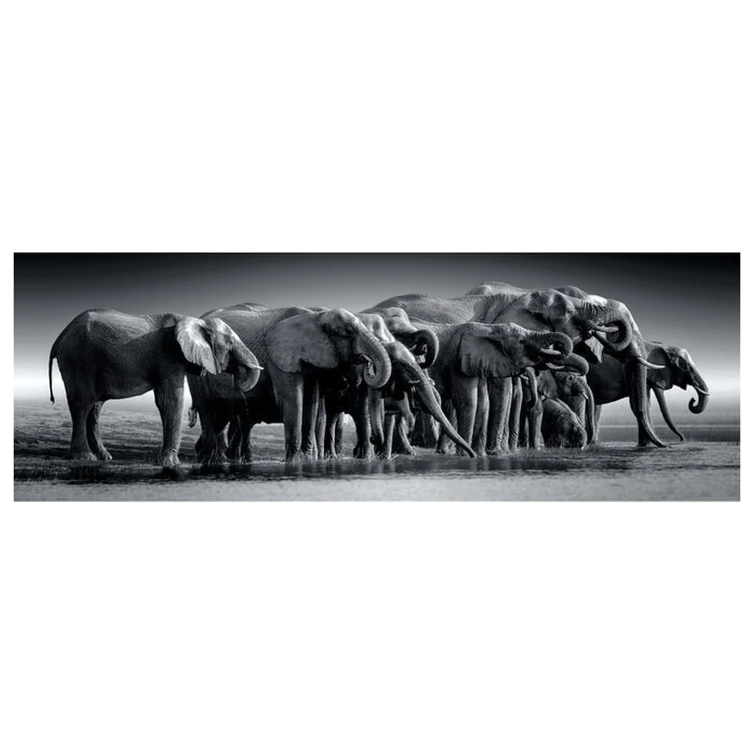 Herd of Giants Panorama puzzle 1000 elementów zdjęcie produktu