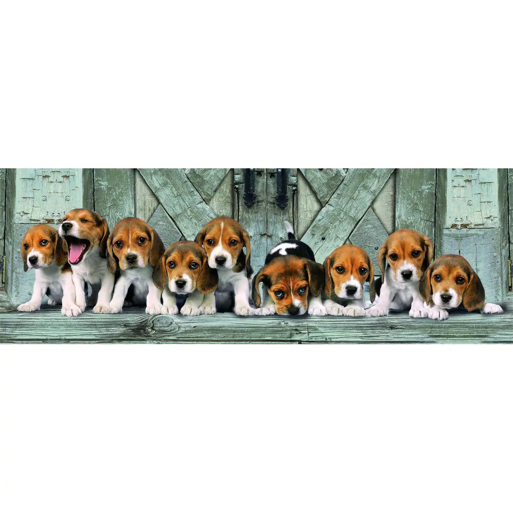 Panorama Puzzle Wysokiej Jakości Beagle 1000pcs zdjęcie produktu