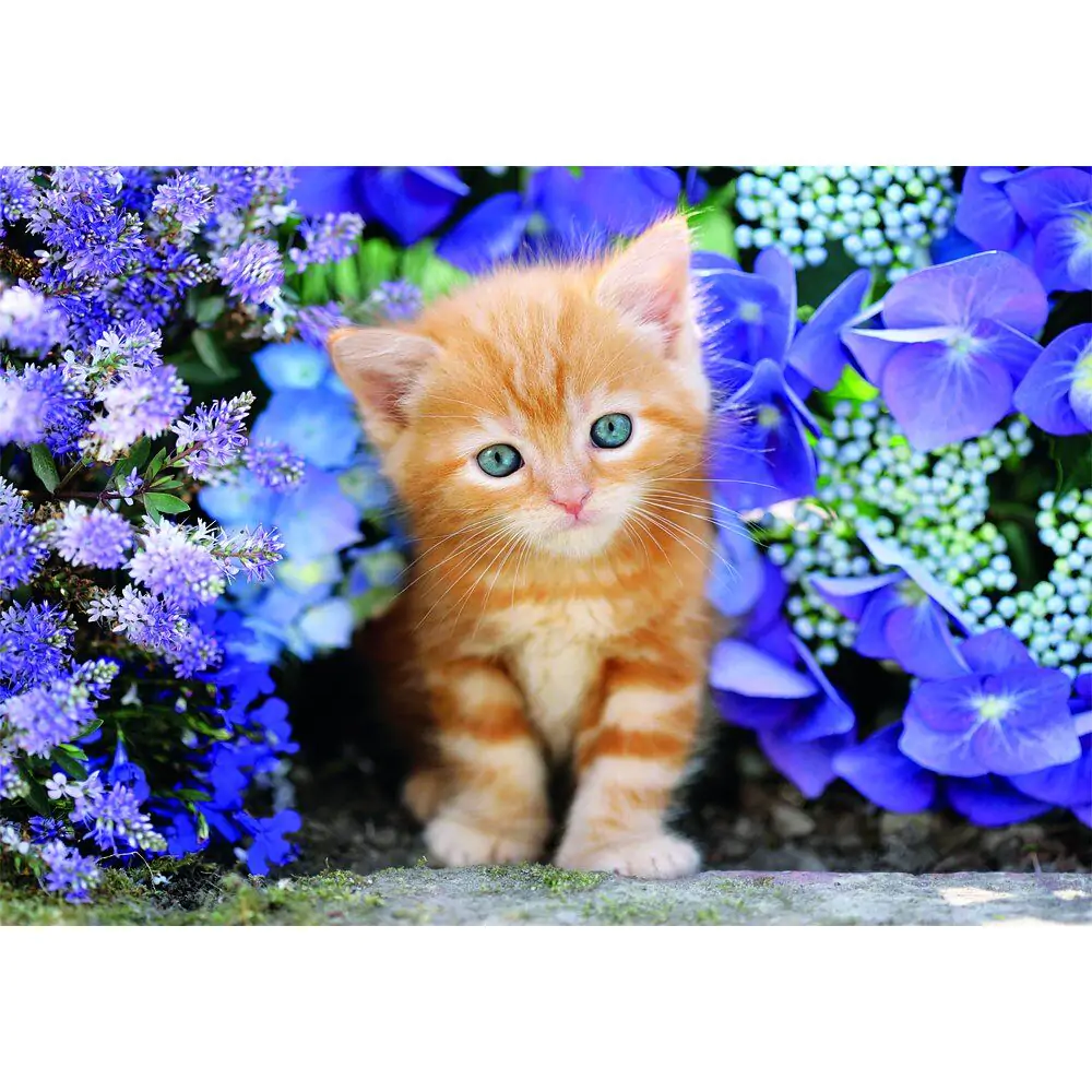 Puzzle Wysokiej Jakości Ginger Cat 500pcs zdjęcie produktu