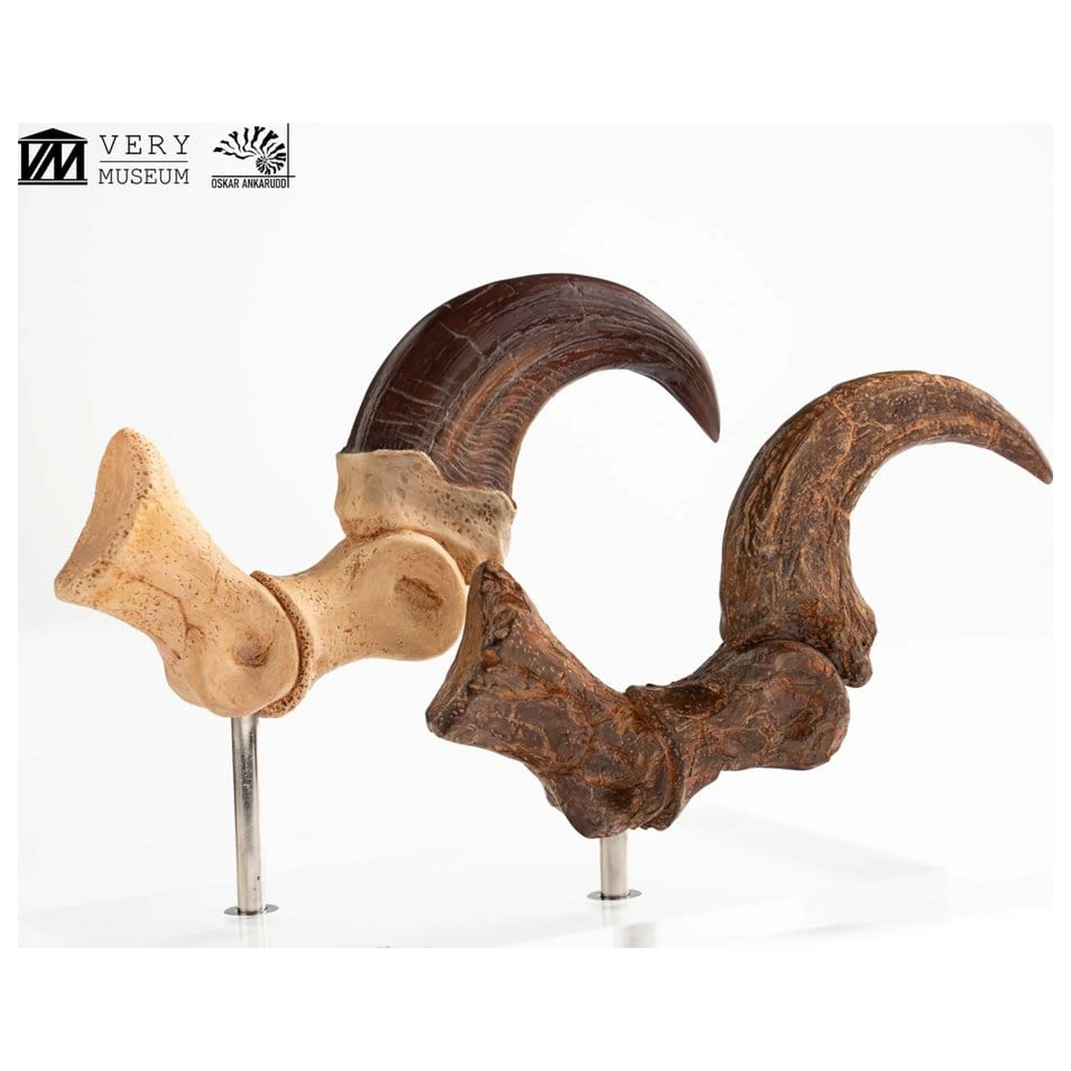 Jurassic Park ECC Elite Creature Line Statua Pazur stopy Velociraptora i zestaw skamieniałych pazurów 20 cm zdjęcie produktu