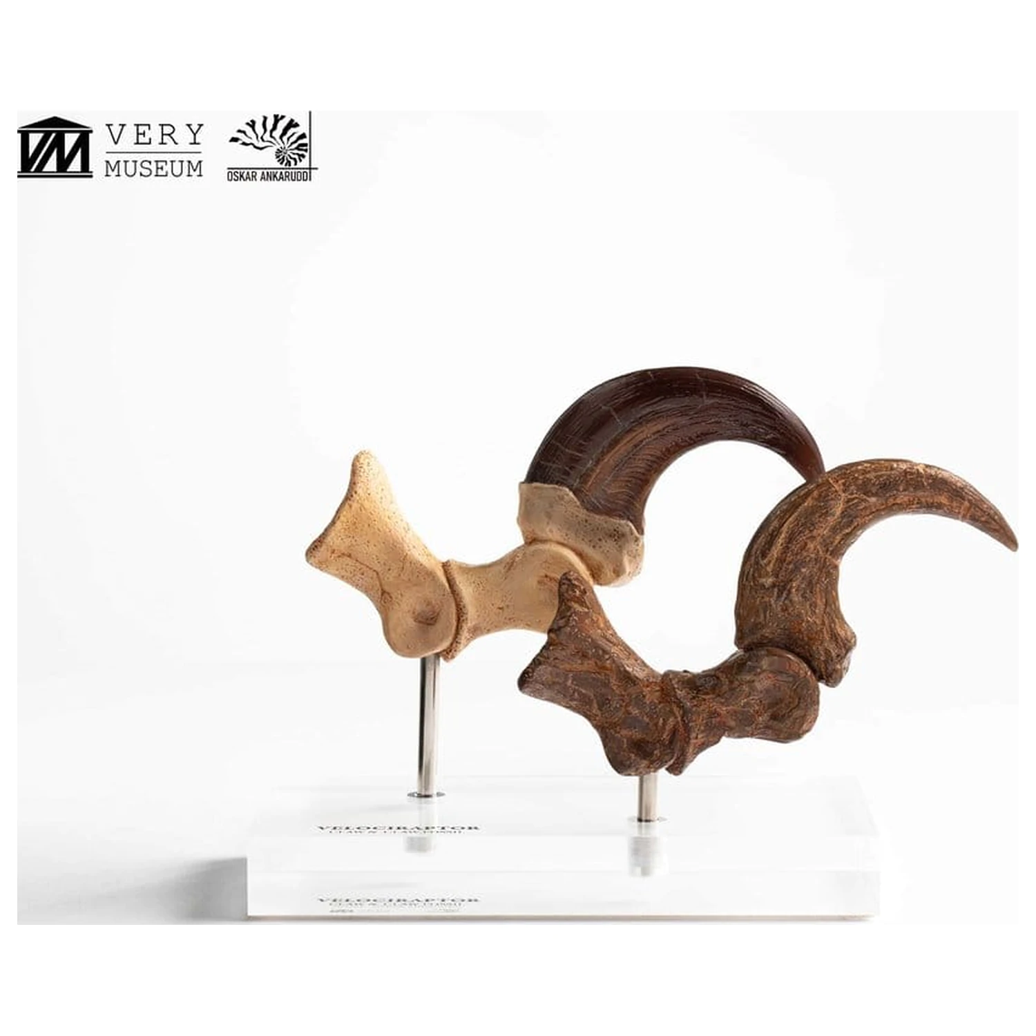 Jurassic Park ECC Elite Creature Line Statua Pazur stopy Velociraptora i zestaw skamieniałych pazurów 20 cm zdjęcie produktu