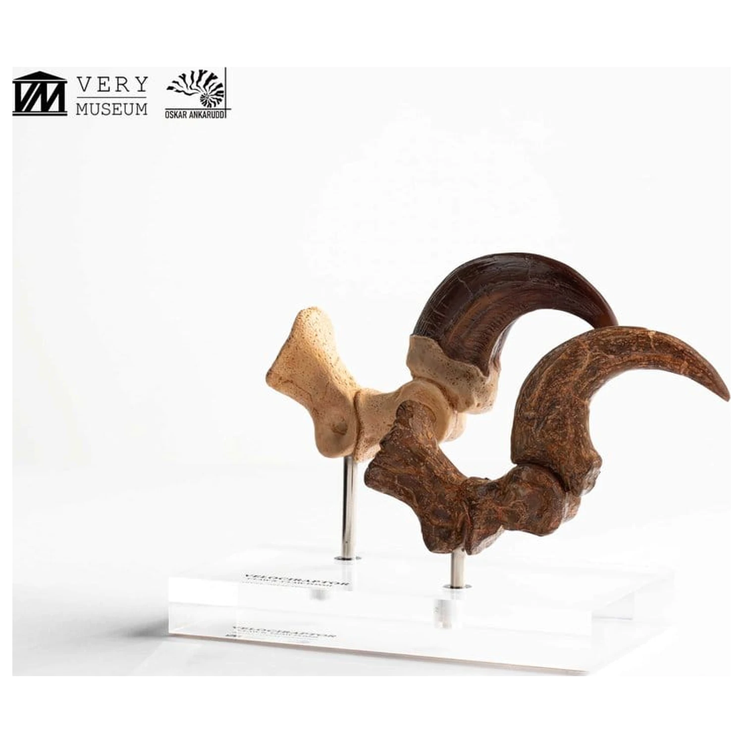 Jurassic Park ECC Elite Creature Line Statua Pazur stopy Velociraptora i zestaw skamieniałych pazurów 20 cm zdjęcie produktu