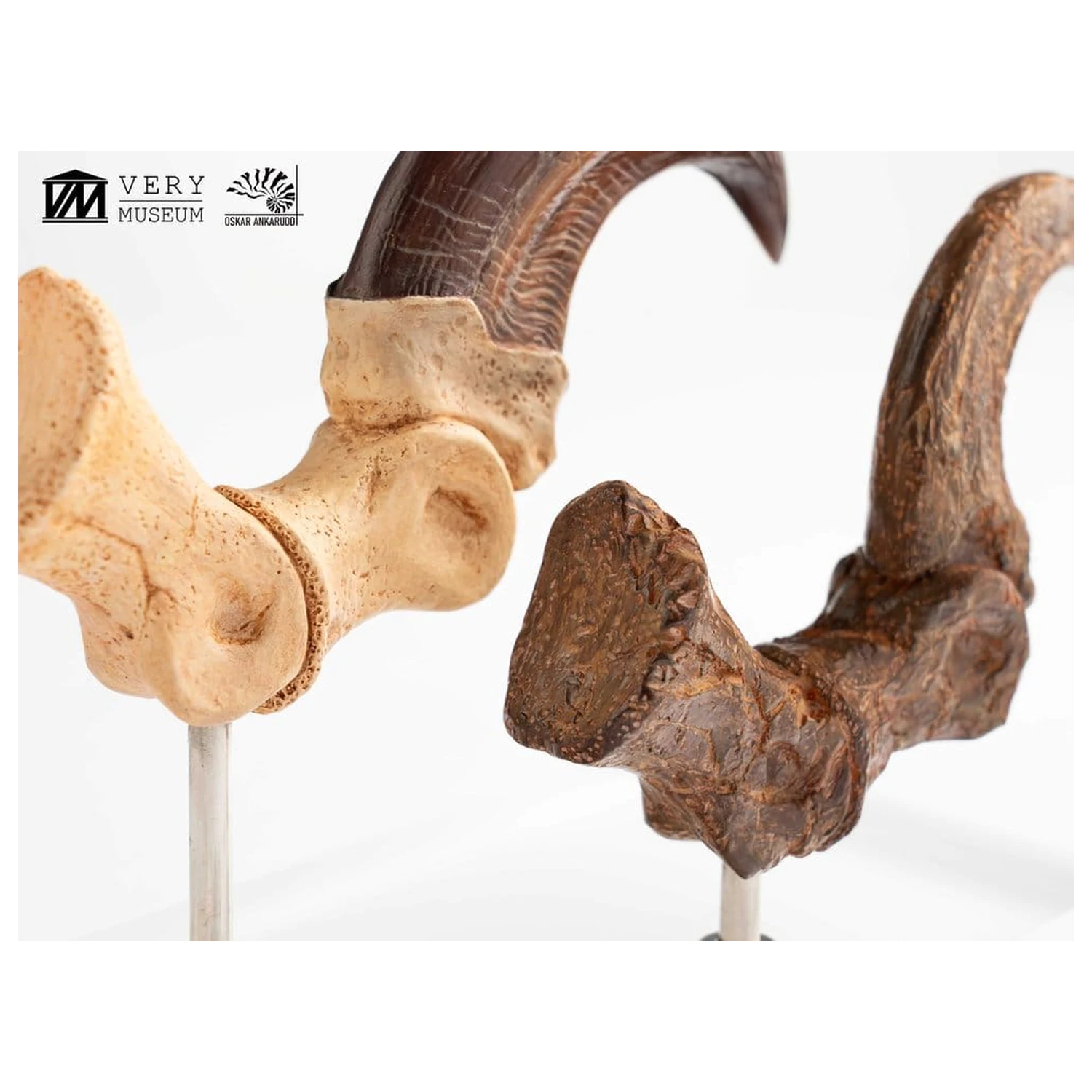 Jurassic Park ECC Elite Creature Line Statua Pazur stopy Velociraptora i zestaw skamieniałych pazurów 20 cm zdjęcie produktu