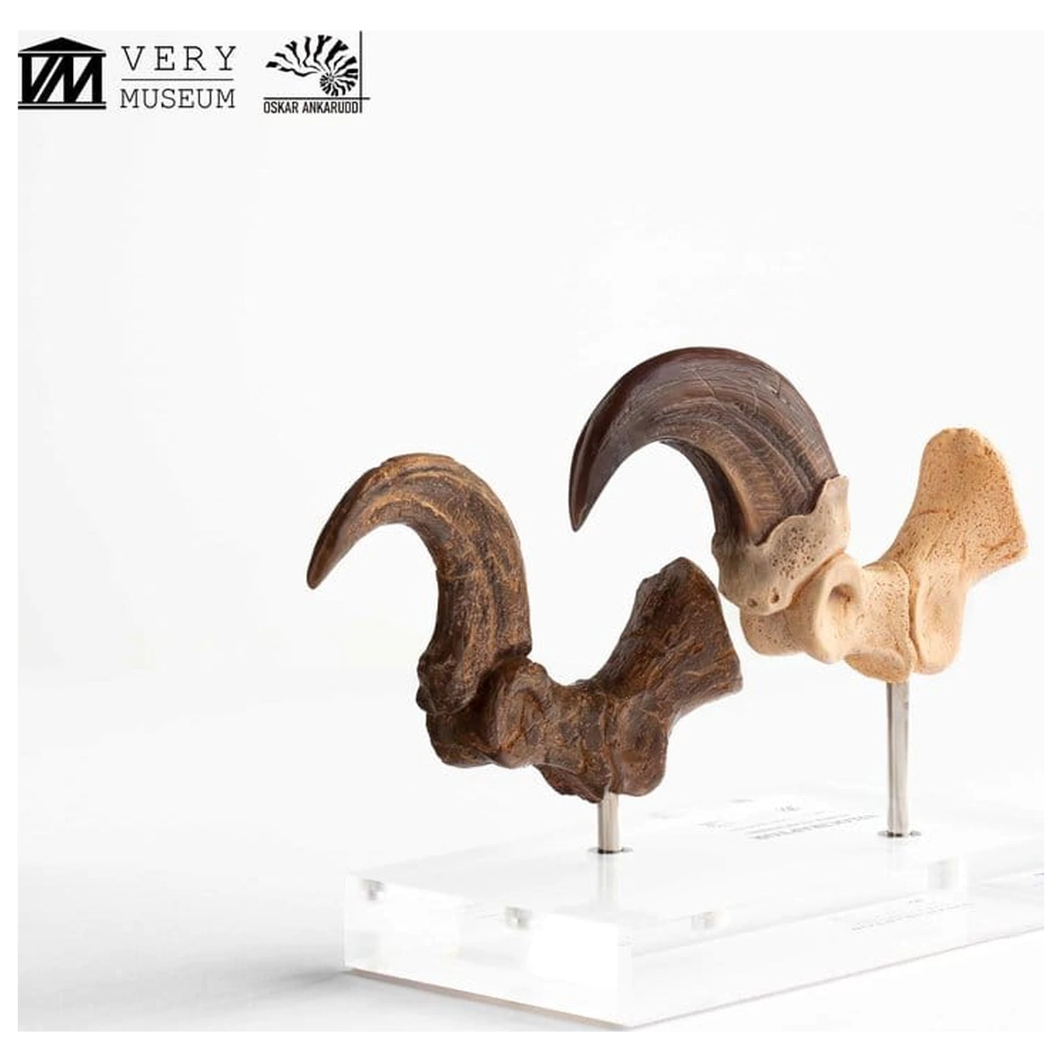 Jurassic Park ECC Elite Creature Line Statua Pazur stopy Velociraptora i zestaw skamieniałych pazurów 20 cm zdjęcie produktu