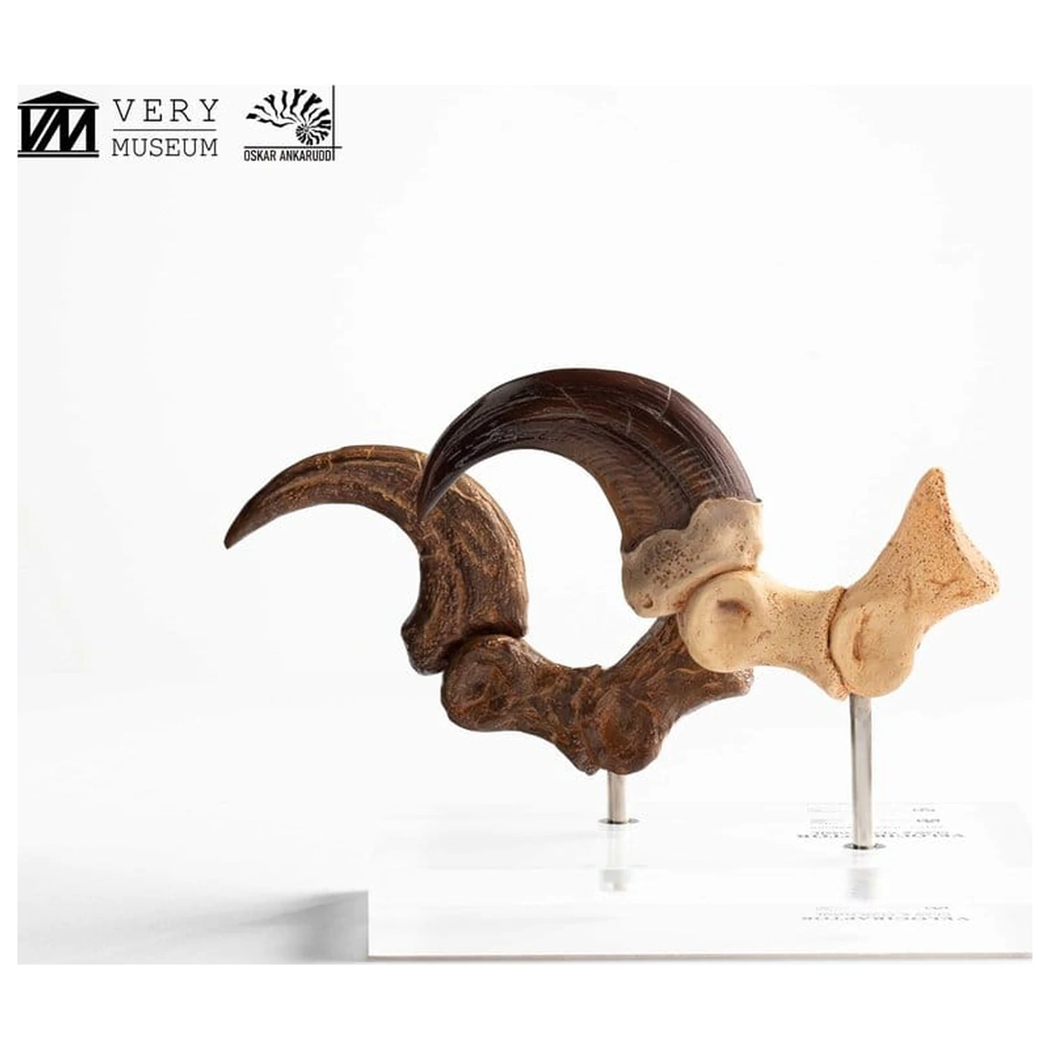 Jurassic Park ECC Elite Creature Line Statua Pazur stopy Velociraptora i zestaw skamieniałych pazurów 20 cm zdjęcie produktu