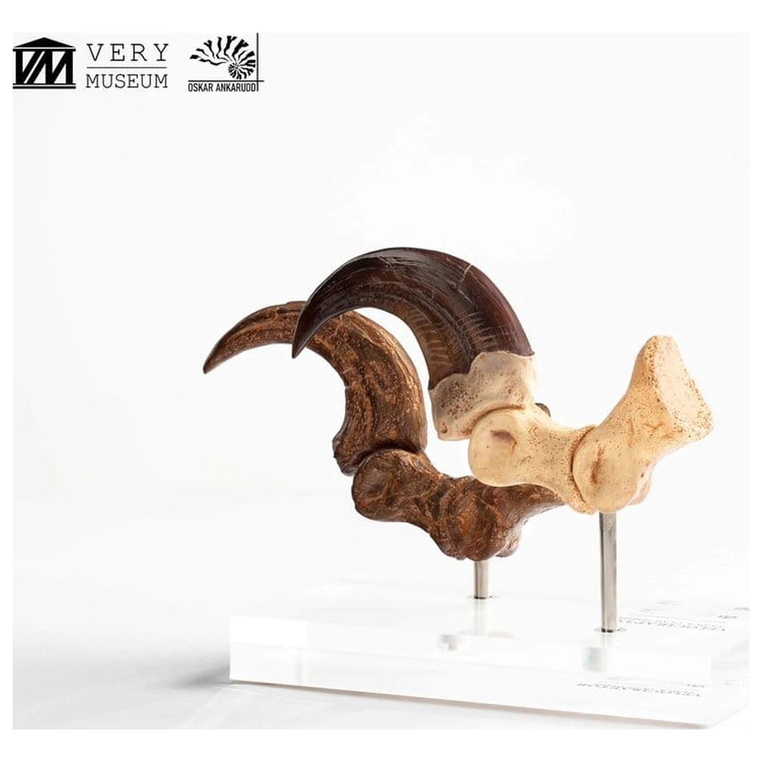 Jurassic Park ECC Elite Creature Line Statua Pazur stopy Velociraptora i zestaw skamieniałych pazurów 20 cm zdjęcie produktu