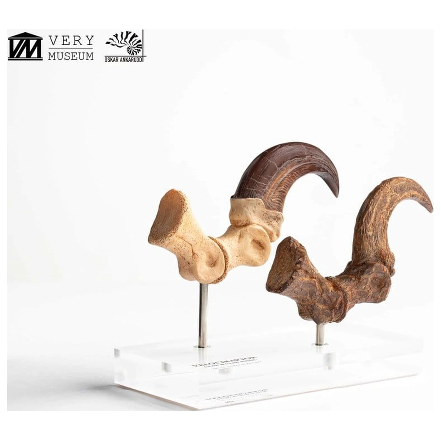 Jurassic Park ECC Elite Creature Line Statua Pazur stopy Velociraptora i zestaw skamieniałych pazurów 20 cm zdjęcie produktu