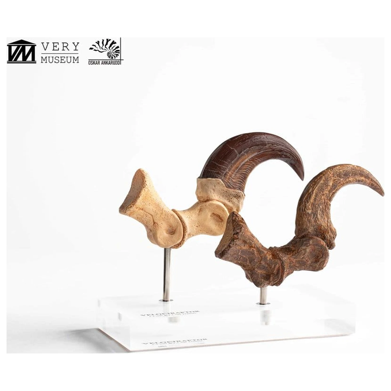 Jurassic Park ECC Elite Creature Line Statua Pazur stopy Velociraptora i zestaw skamieniałych pazurów 20 cm zdjęcie produktu