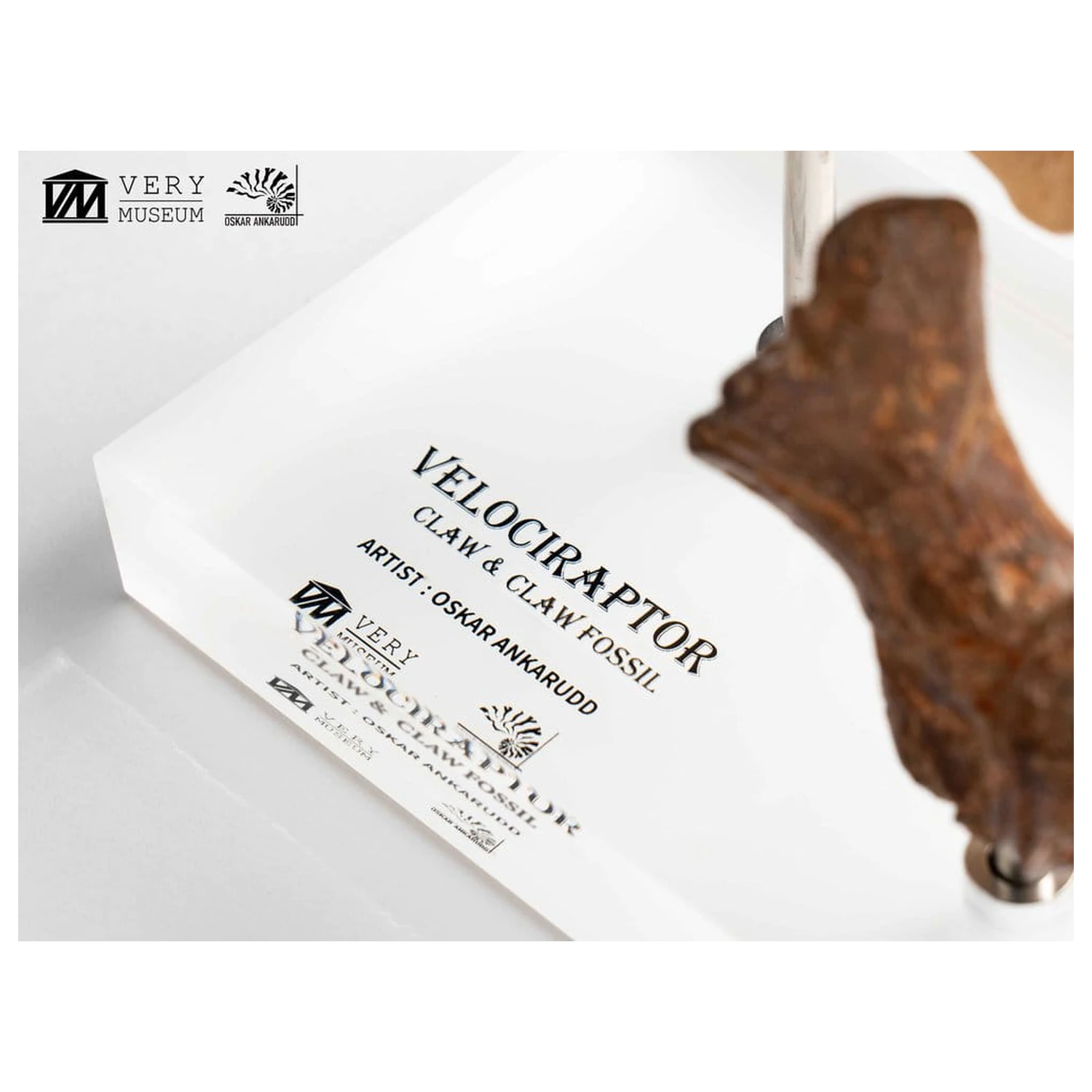 Jurassic Park ECC Elite Creature Line Statua Pazur stopy Velociraptora i zestaw skamieniałych pazurów 20 cm zdjęcie produktu