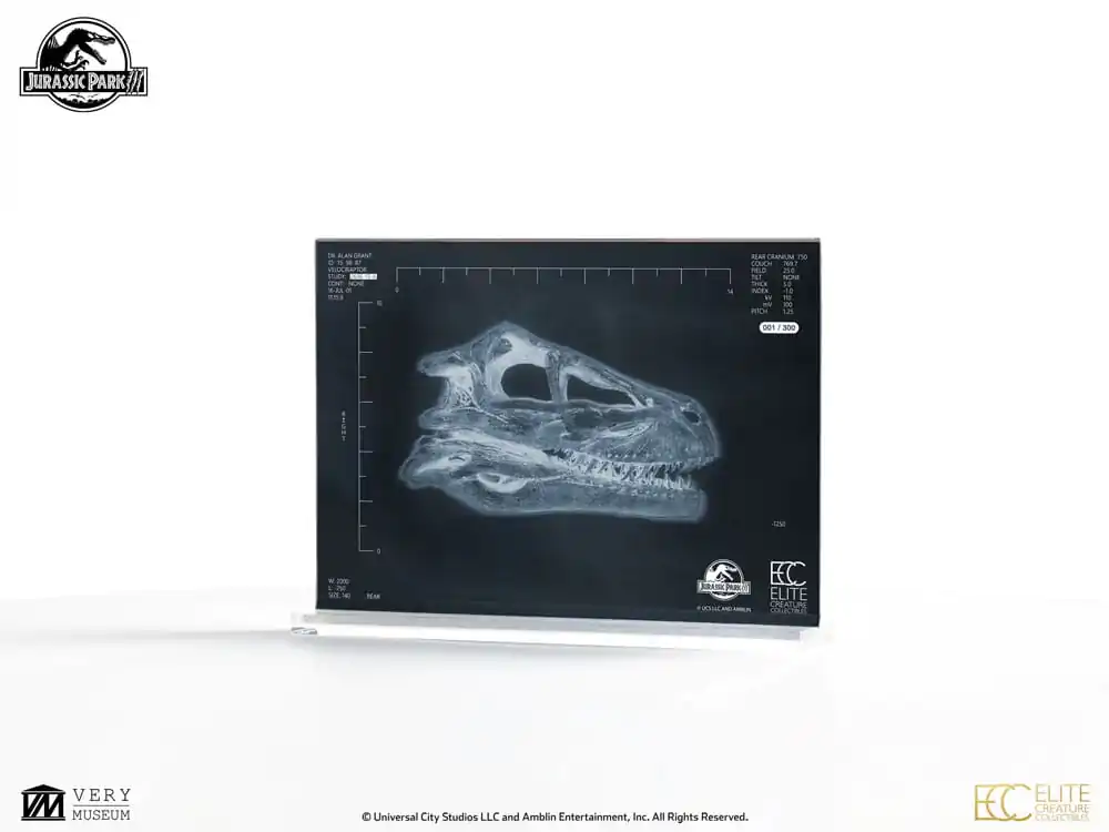 Replika rekwizytu Jurassic Park III 1/1 Komora rezonansowa Velociraptora 18 cm zdjęcie produktu