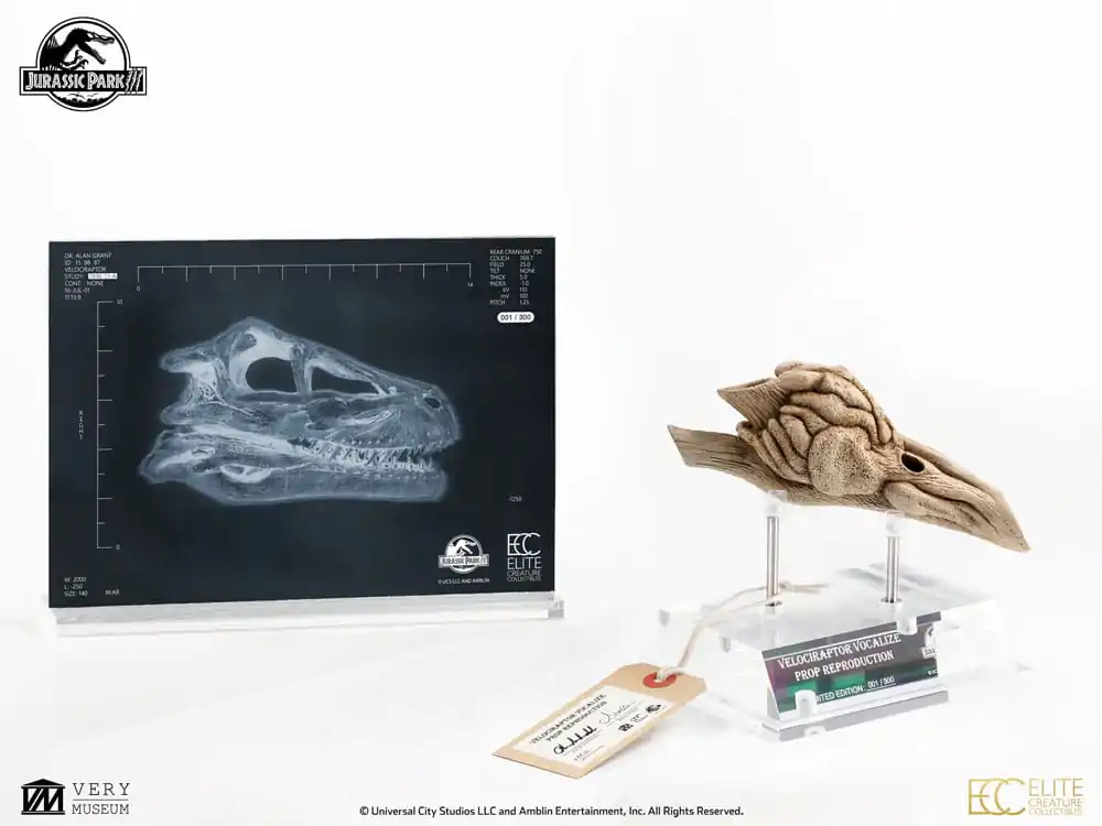 Replika rekwizytu Jurassic Park III 1/1 Komora rezonansowa Velociraptora 18 cm zdjęcie produktu